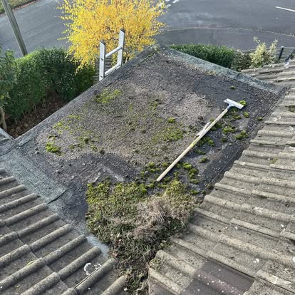 Mossy flat roof before EPDM replacement