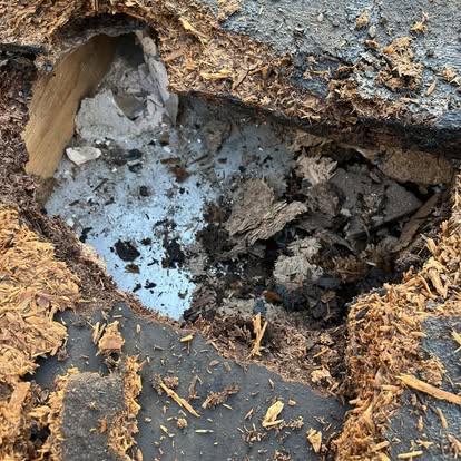 Close-up rotten flat roof structure before repair
