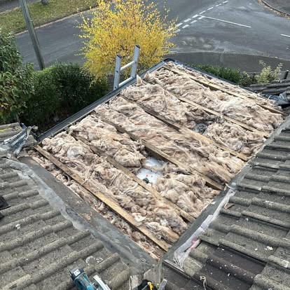 Flat roof stripped exposed joists autumn tree