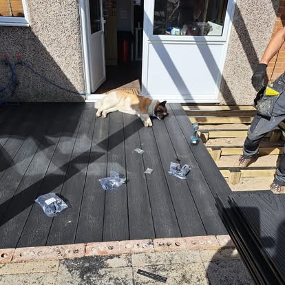 Dark composite decking being laid with dog on boards